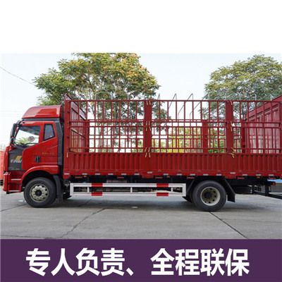 梅州到東營利津縣貨運公司